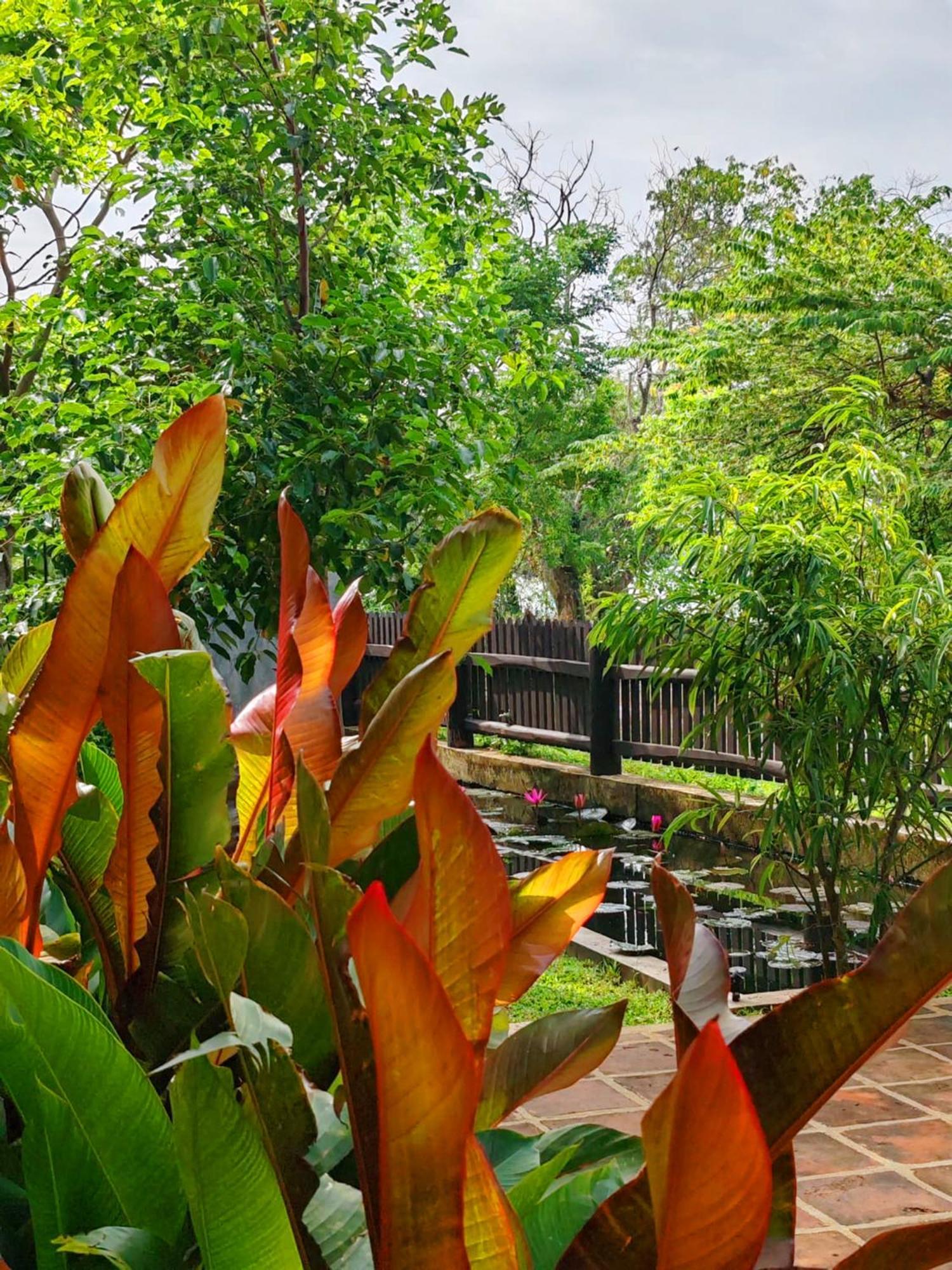 Art Yala Boutique Resort Тисамахарама Екстериор снимка